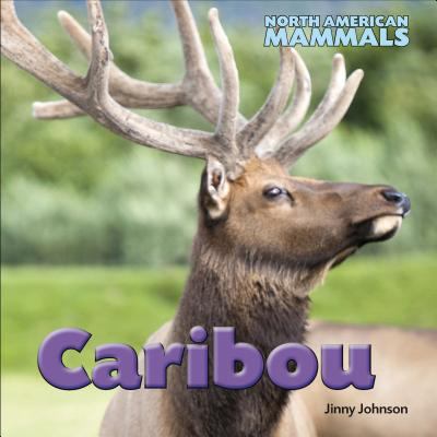 Caribou