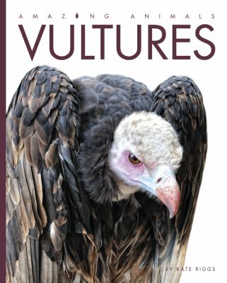 Vultures