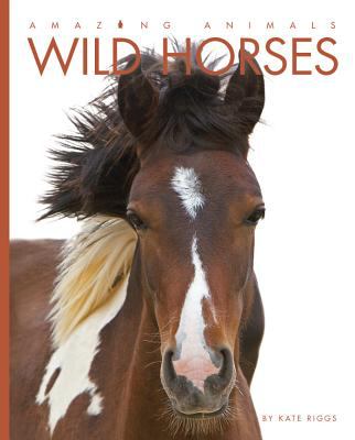 Wild horses