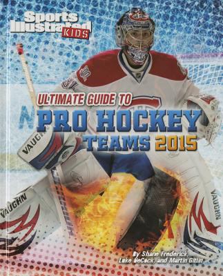 Ultimate guide to pro hockey teams 2015