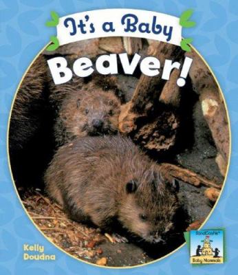 It's a baby beaver!