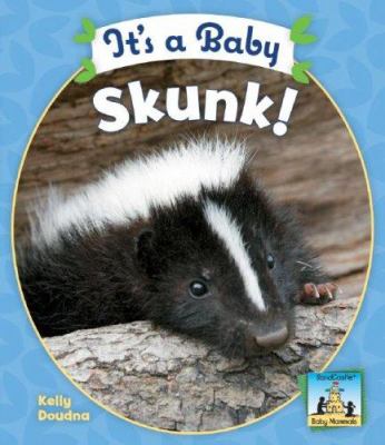 It's a baby skunk!