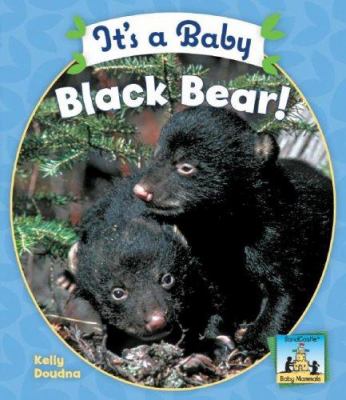 It's a baby black bear!