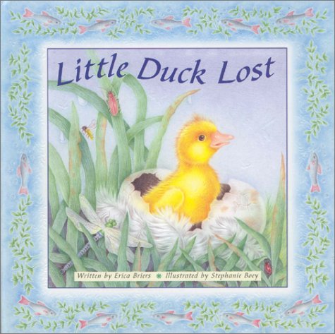 Little duck lost