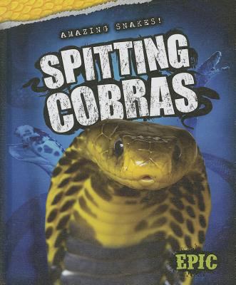 Spitting cobras