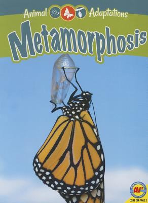 Metamorphosis