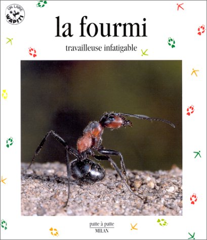 La fourmi, travailleuse infatigable