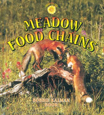 Meadow food chains