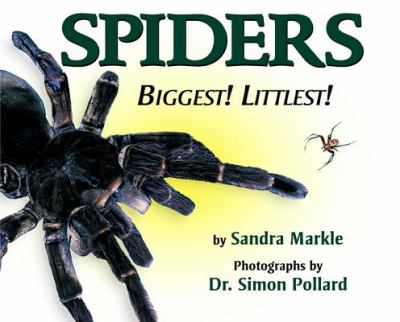 Spiders : biggest! littlest!