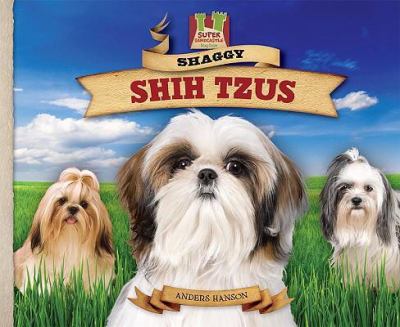 Shaggy shih tzus