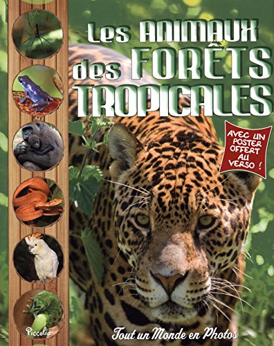 Les animaux de la forêt tropicale