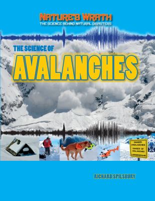 The science of avalanches