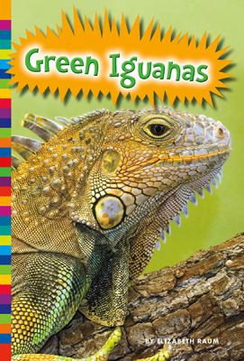 Green iguanas