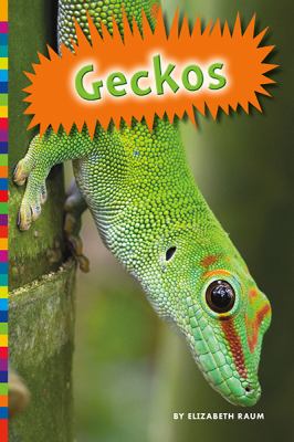 Geckos