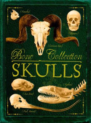 Bone collection. Skulls /
