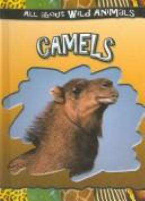 Camels