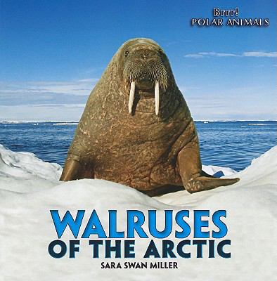 Walruses of the arctic