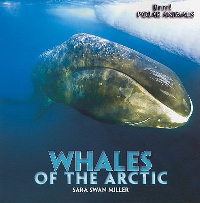 Whales of the Arctic