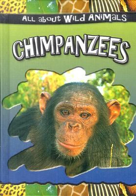 Chimpanzees.