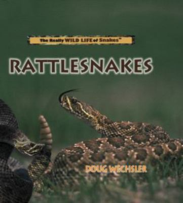 Rattlesnakes