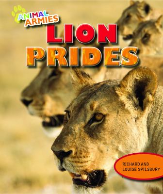 Lion prides