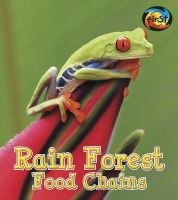 Rain forest food chains