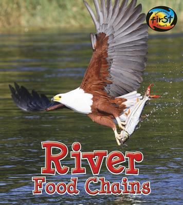 River food chains