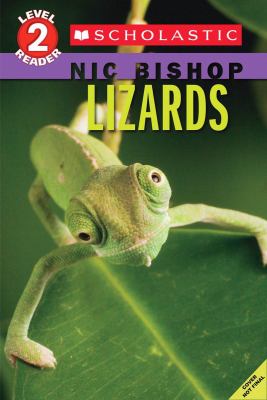 Lizards