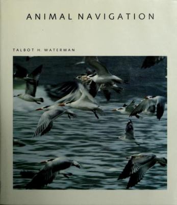 Animal navigation