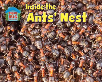 Inside the ants' nest