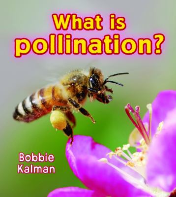 What is pollination?