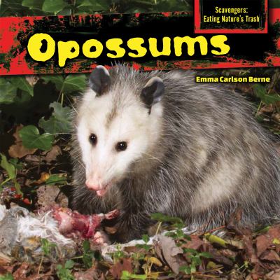 Opossums