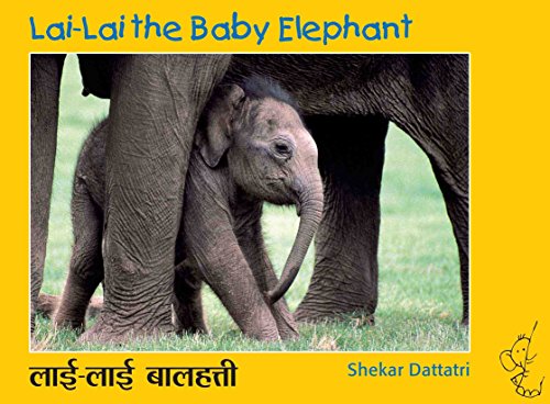 Lai-Lai the baby elephant