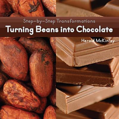 Turning beans into chocolate
