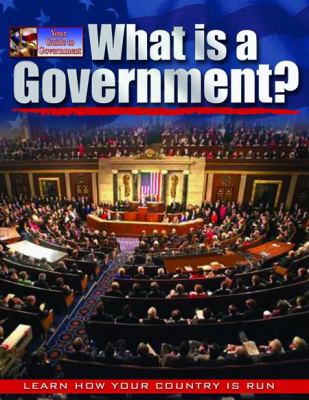 What is a government?