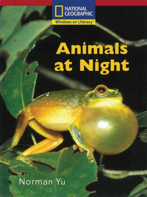 Animals at night