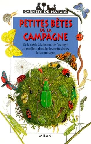 Petites bêtes de la campagne