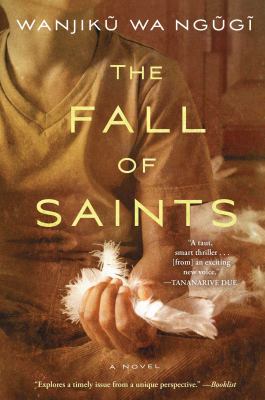 The fall of saints : a novel