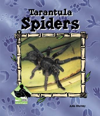 Tarantula spiders