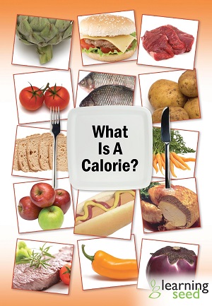 What is a calorie?