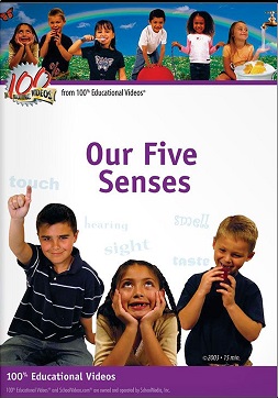 Our five senses