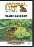 All about amphibians