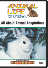 All about animal adaptations