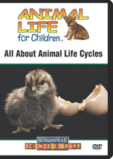 All about animal life cycles