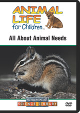 All about animal needs