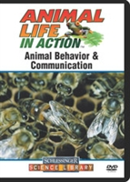 Animal behavior & communication