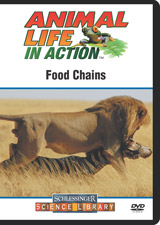 Food chains