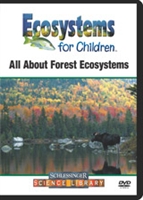 All about forest ecosystems