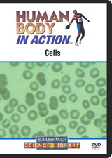 Cells