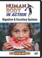 Digestive and excretory systems